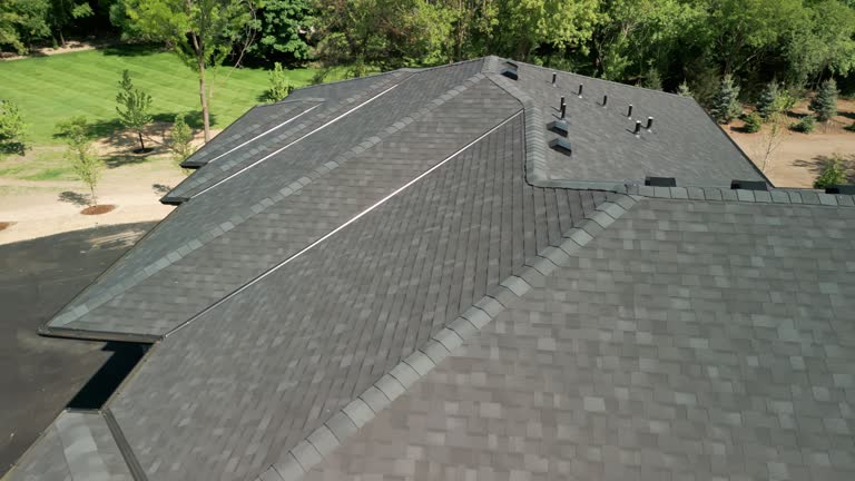 Best Roof Leak Repair  in South Elgin, IL